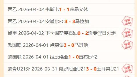 吉林夜市冬日沸腾：畅游繁华，攀登美食巅峰